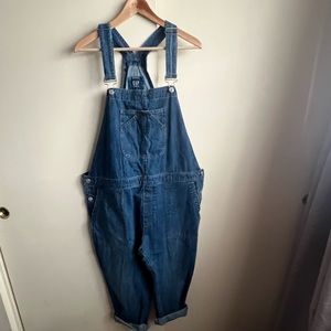 GAP Denim Overalls NWOT